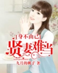 贤妻不可负