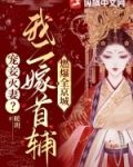 二嫁娇妾小说