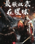 最强奴隶主系统 小说