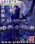 暗黑之异界全职者