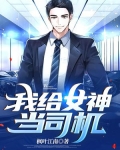 我给女神当司机 枫叶江南