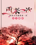 重来一次,我没拿走情书小说