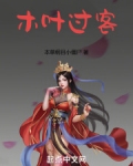 木叶刀客