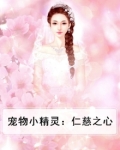 宠物小精灵之善恶