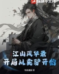 江山风华小说