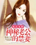 免费阅读小说神秘老公宠入怀