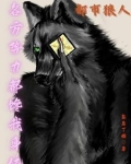 都市狼少全文免费阅读