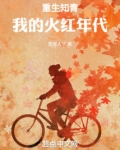 重生知青：我的火红年代