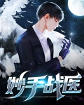 妙手医圣免费阅读全文