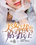 美女总裁的贴身兵王夜风武