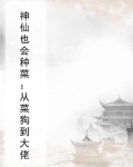 神仙菜又叫什么名字