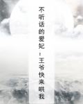 不听话的爱妃：王爷快来哄我
