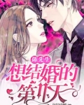 陈先生他想谈恋爱