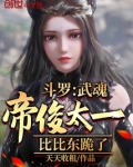武魂帝君 小说