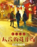 飞扬年代:从采购员开始