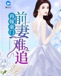 再嫁豪门:前妻难追全文阅读