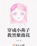 穿越成紫薇小燕子被乾隆
