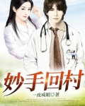 妙手回村李林免费阅读
