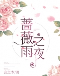 蔷薇雨电视剧全集剧情