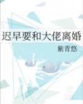 迟早要和大佬离婚小说