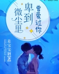 曾爱过你卑到微尘里南笙