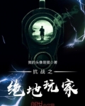 抗战之绝地玩家