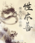 hp龙之