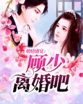 婚情盛宴:顾少离婚吧