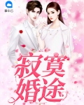 寂寞婚途