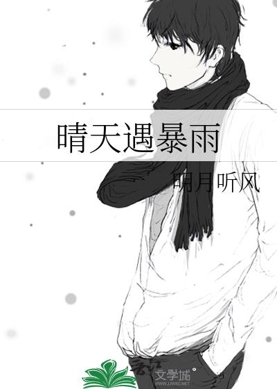 晴天遇暴雨小说