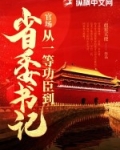 官场:从一等功臣到省委书记 第739章