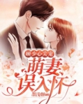 顾少心尖宠:萌妻误入怀