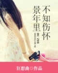 景年知何时