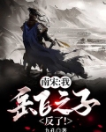 南宋:我,岳飞之子!反了!