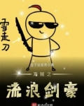 海贼之流浪剑豪 小说
