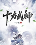 十方武神境界