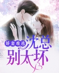 娇妻难逃：沈总别太坏