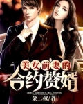 美女前妻小说