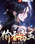 偷香窃玉小说全文阅读