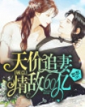 天价追妻,顾总情敌60亿
