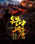 铁血中唐 坏血TXT下载