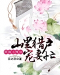 田园小悍妇:山里猎户宠妻忙