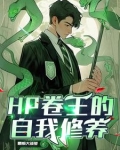 hp魔法世界二三事