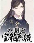 大明之宝箱系统TXT