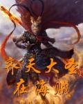齐天大圣在海贼网盘