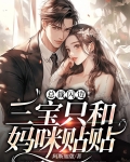 小说,三宝来袭,总裁夫人美爆全球
