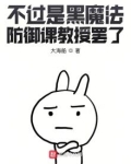 不过是黑魔法防御课教授罢了