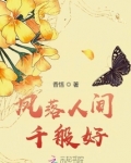 凤落人间千般好