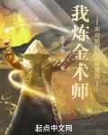 我炼金术师,不可能掀起诸神黄昏