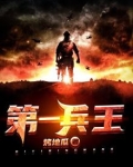 第一兵王于枫小说全集